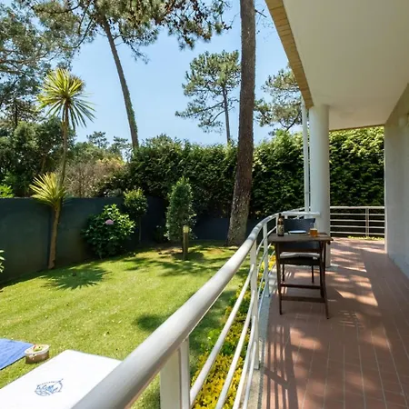 Casa Andorinhas By Hommelier * Fão